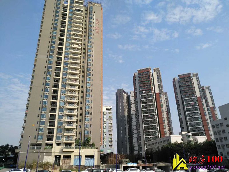 售大型正規村委統建樓 科苑～觀瀾