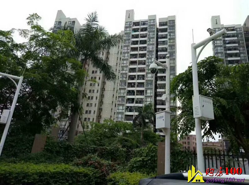 松崗大型統建樓 【依園居】村委直接簽合同