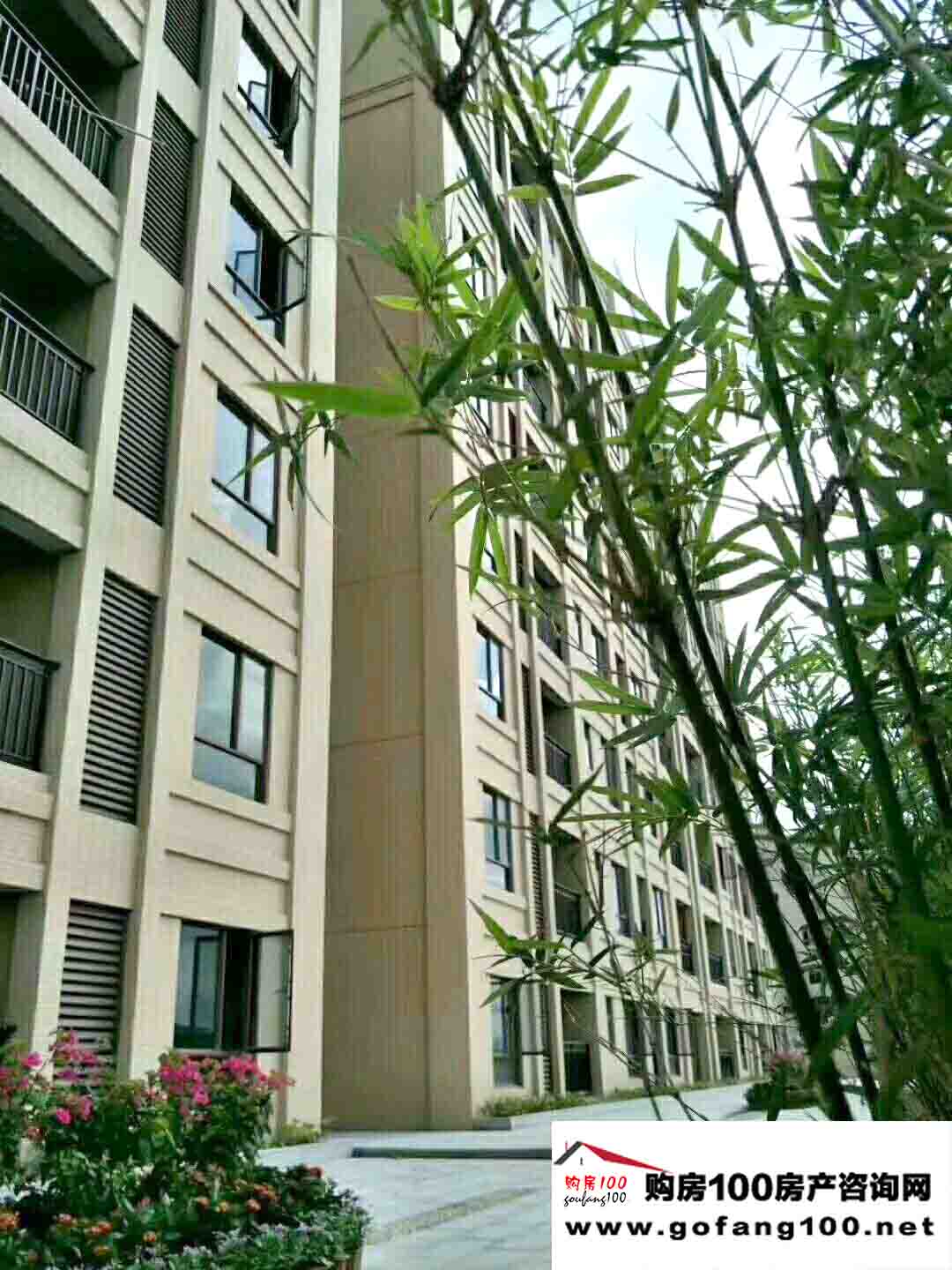 效果圖
