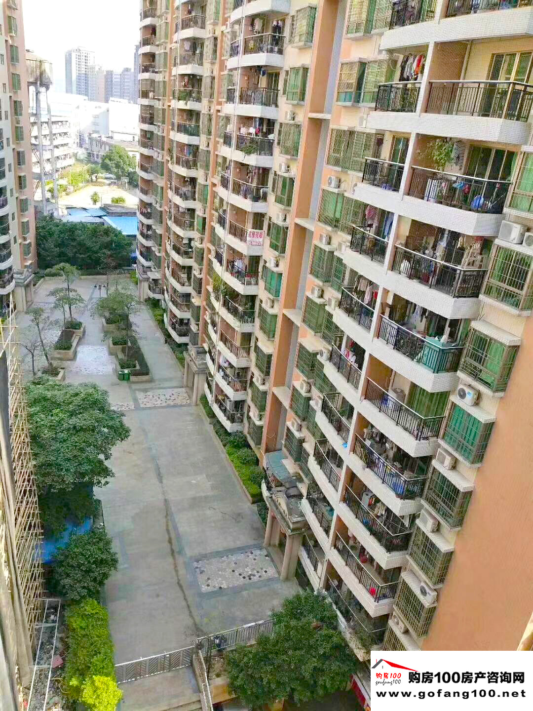 效果圖