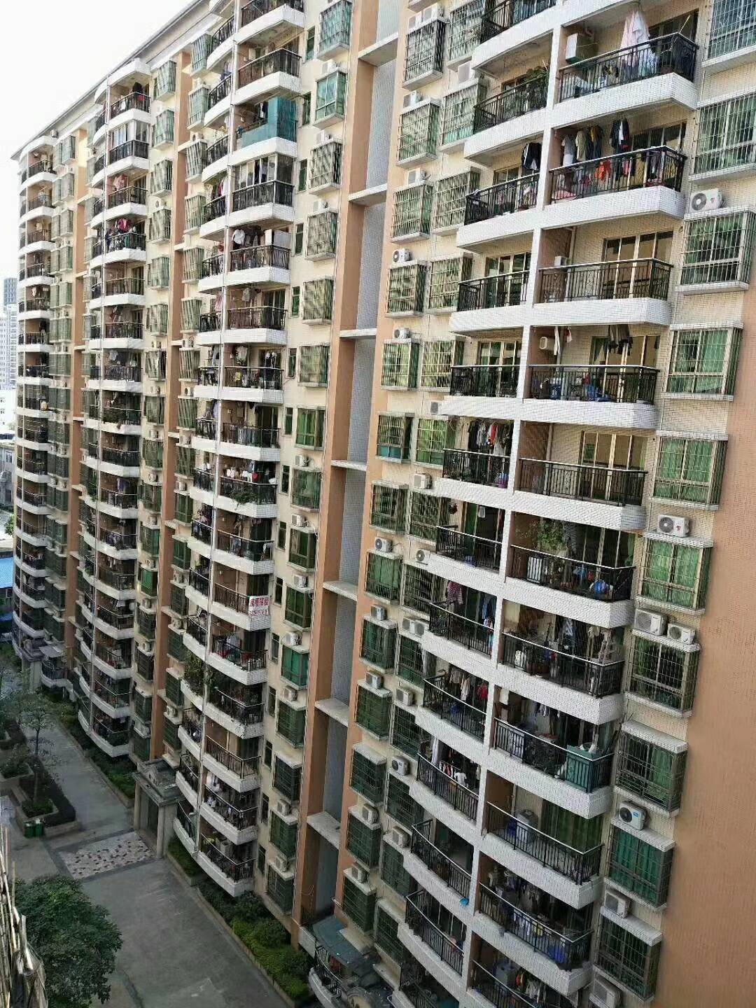 效果圖