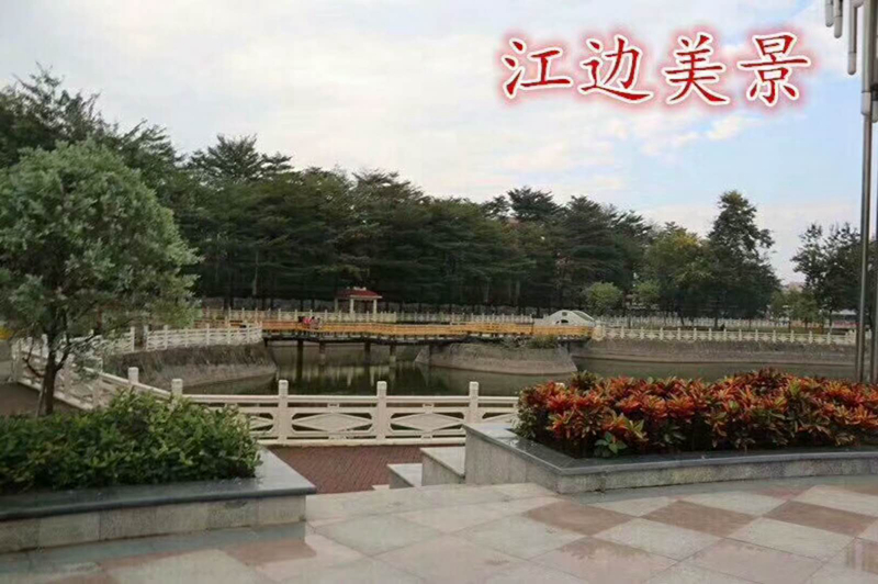 效果圖