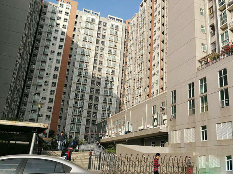<b>國際會展中心100米 12棟大型村委統建樓《恒基國際》</b>