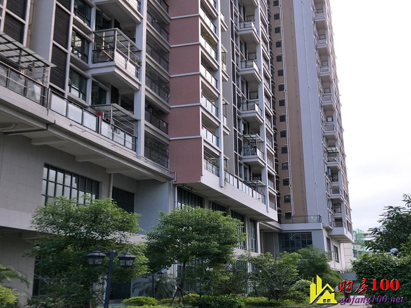 沙井11號地鐵線海岸城旁【中心國際】6棟花園統建樓